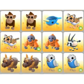 BUNDLE PET X12