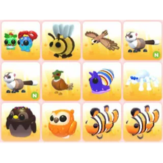 BUNDLE PET X12