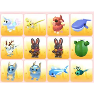 BUNDLE PET X12
