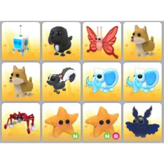 BUNDLE PET X12