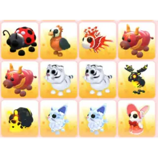 BUNDLE PET X12