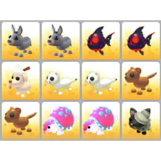 BUNDLE PET X12