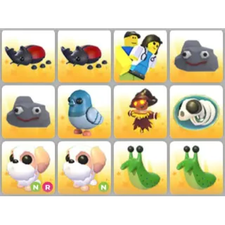 BUNDLE PET X12