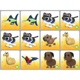 BUNDLE PET X12