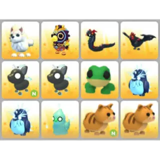 BUNDLE PET X12