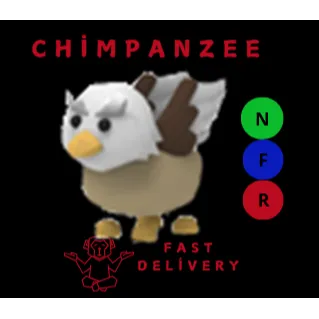 GRIFFIN NFR