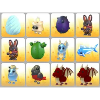 BUNDLE PET X12