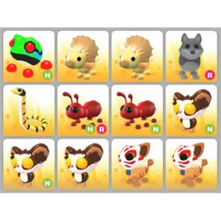 BUNDLE PET X12