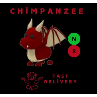 DRAGON NR