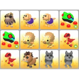 BUNDLE PET X12
