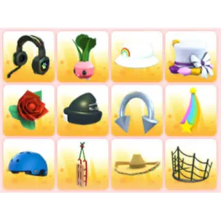 BUNDLE PET WEAR X12