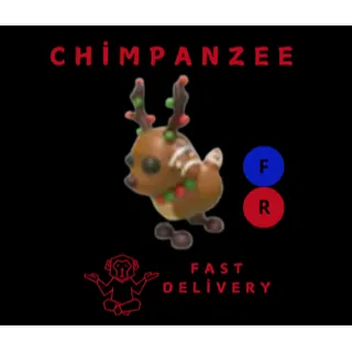 Gingerbread Reindeer FR