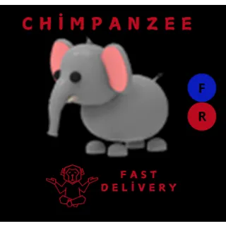 ELEPHANT FR