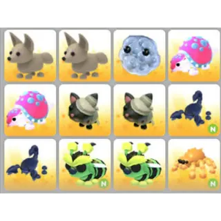 BUNDLE PET X12