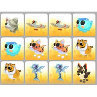 BUNDLE PET X12