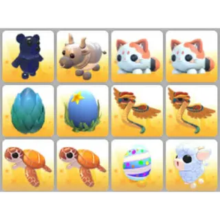 BUNDLE PET X12