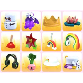 BUNDLE PET WEAR X12