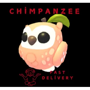 PEACH OWL