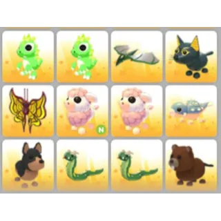 BUNDLE PET X12