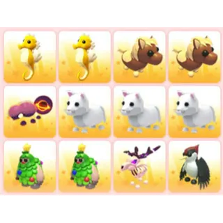 BUNDLE PET X12