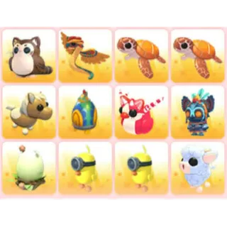 BUNDLE PET X12