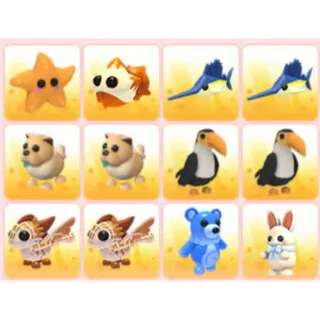 BUNDLE PET X12