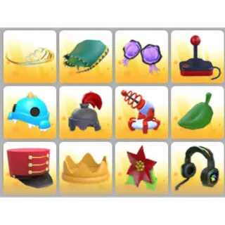 BUNDLE PET WEAR X12