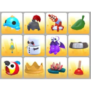 BUNDLE PET WEAR X12