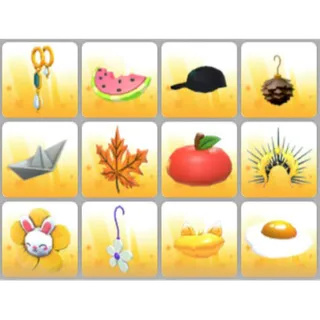 BUNDLE PET WEAR X12