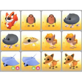 BUNDLE PET X12