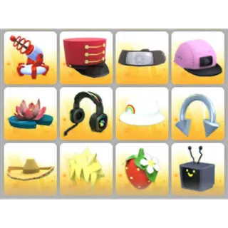 BUNDLE PET WEAR X12