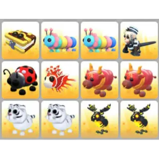 BUNDLE PET X12