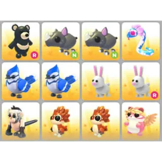 BUNDLE PET X12