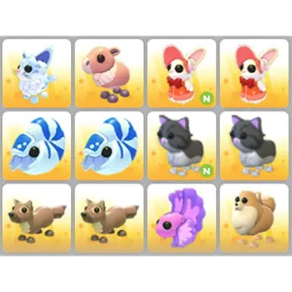 BUNDLE PET X12