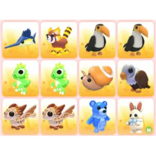 BUNDLE PET X12