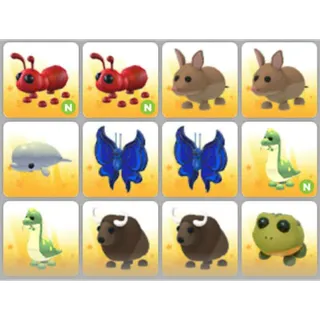 BUNDLE PET X12