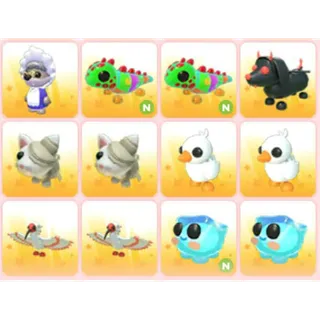 BUNDLE PET X12