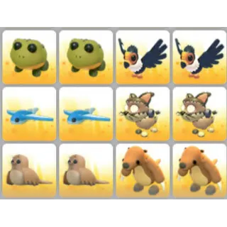 BUNDLE PET X12