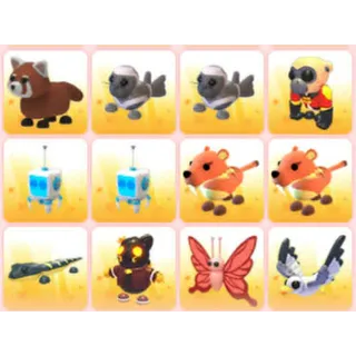 BUNDLE PET X12