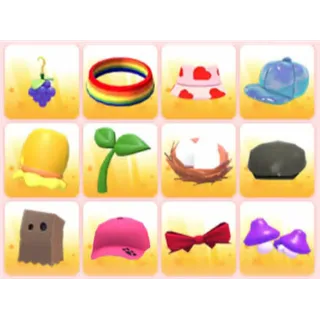 BUNDLE PET WEAR X12