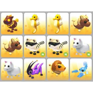 BUNDLE PET X12