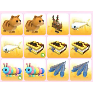 BUNDLE PET X12