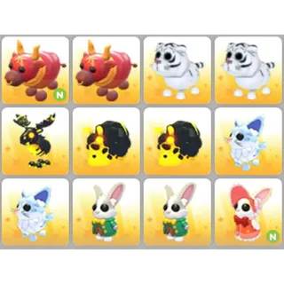 BUNDLE PET X12