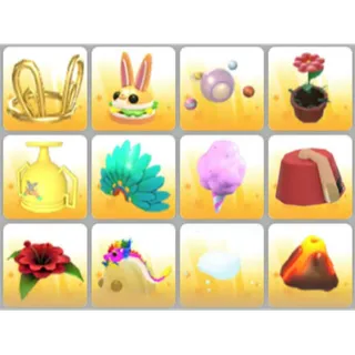 BUNDLE PET WEAR X12