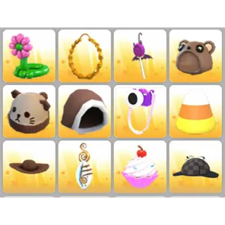 BUNDLE PET WEAR X12