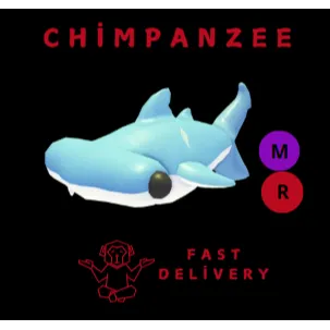 HAMMERHEAD SHARK MR
