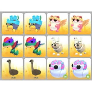 BUNDLE PET X12