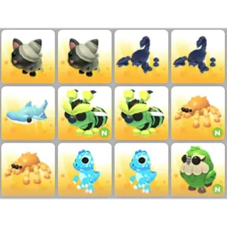 BUNDLE PET X12
