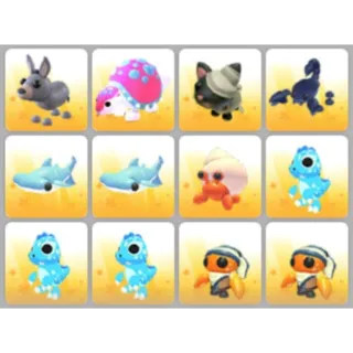 BUNDLE PET X12