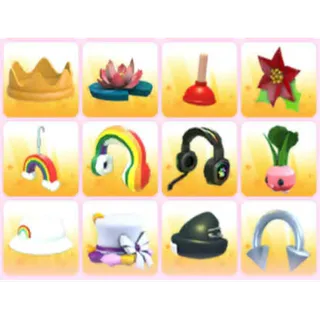 BUNDLE PET WEAR X12